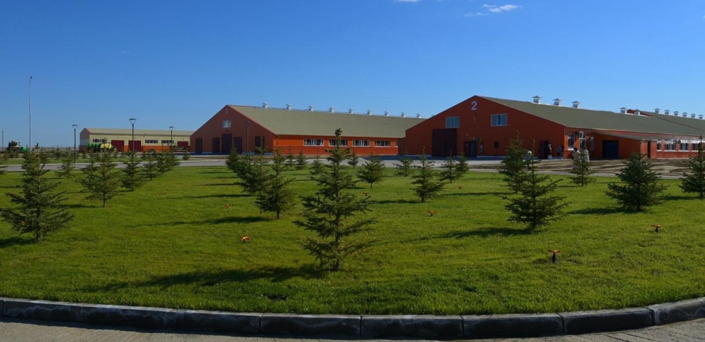 Павлодар облысында 1200 бас малға арналған сүт-тауарлы ферма ашылды